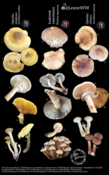 fea9f596-2d9b-47f8-a28c-4633da661cd0