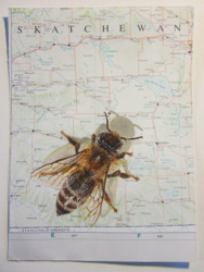 b2f31261-1839-412a-9375-a67b81f24243