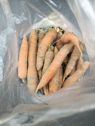 24ea2405-0978-4697-a56b-5e2b721499ac