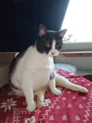 8e7fd533-2348-429b-92d2-bb82158d8c56