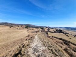 4bb81f24-dc3a-44d6-84fe-193435e90bef