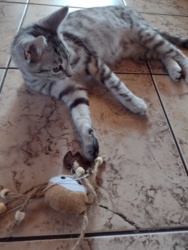 6f02a77e-5ee5-46a2-8bc8-da9b49c5eae6