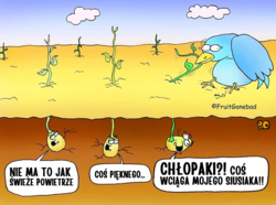 59661945-719c-4668-b339-182fa8fe0aa4