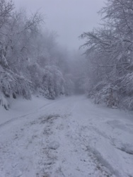 0aa127a6-29d9-45c2-b98f-1c5a69b5560b