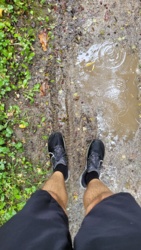 d52373da-ba46-4186-8502-5f01e0e4a971