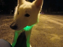 91dc5d7d-0526-4fb5-b989-edf0123195d6