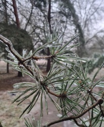 1cff689f-feff-422f-9279-730b69f15bf8