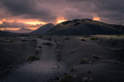 1e693216-2272-44f7-8a99-371b6e4c7b42