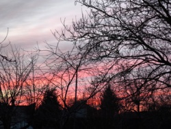 8fd7aa9c-09f5-4c9b-9f48-992ed03b2327