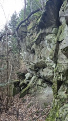 c1989bff-552e-4128-ba44-bc8ca5295687