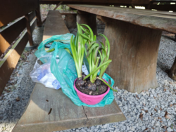 e1231335-0543-4ecc-b62f-f11093fa7da4