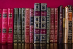 Neurobiologia intuicji – skąd bierze się „przeczucie”?