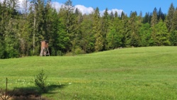 d23351ab-b288-4668-a083-ed5d756d540b