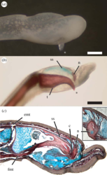 d188f91a-dc42-4c23-ad43-020446643b64