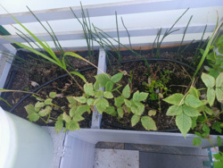 adf67106-022b-46fb-a73e-f78c5db09742