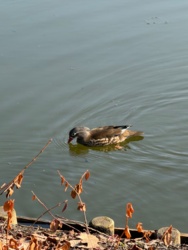 d80e86e0-c8f1-468e-a84e-d6dc3425c5ef