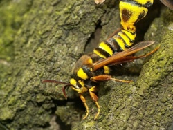 8c24dd7b-ed7c-4836-bf0d-92898e39cbad