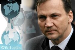 WikiLeaks ujawnia 'doktrynę Sikorskiego'