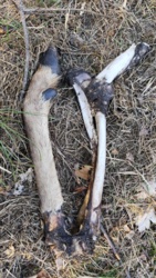 eabe1c1e-28fb-4ca3-9f23-12f4563efd83