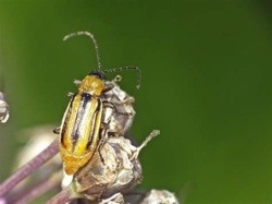 02f7160d-7824-4942-a16e-81750f2f19cd