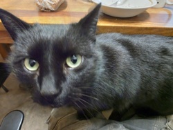 59a006dc-2df5-4004-91c1-260651b705db