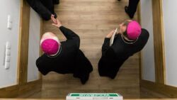 Mec. Nowak o biskupach: Przepraszają za pedofilię, gdy mają do głów przystawiony pistolet medialny