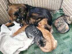 17ff9a94-7aa1-4e3a-8e44-bad191d25d75