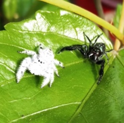 ae087546-d95a-46fc-9791-9c9e474a8a7c