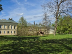 2c445b05-4b43-41fb-adb2-3cc53beef47c