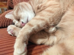 56ac000c-aa40-48ea-afef-b5612b5e9679