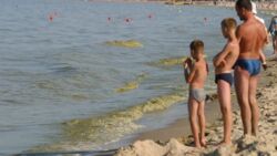 Uwaga na sinice! Z tych 11 kąpielisk nad Bałtykiem lepiej nie korzystać