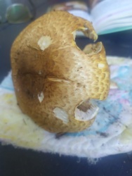 e96b9fb4-8cb6-4450-829a-8626c0200d5a