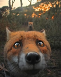 816524a2-c7e4-4d72-b24c-04028d5bcd59