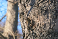 b980c99a-2f17-4833-857e-1f017ff02871