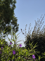 25a28f11-50d7-4868-8b37-19909b90f05f