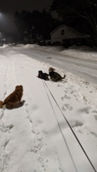 f8d7d8c8-0347-49c0-a443-f16cdbc5045d