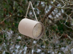 d93f3a50-f057-4c05-9ead-adfe7cb4acae