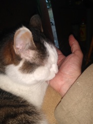 ad2571e5-7841-4e49-8bce-cd96acb37f55