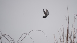 3b0f64e1-5a42-4af6-8b88-a4afbd28ac47