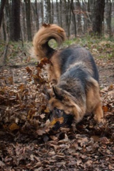 1b1741aa-5a47-408b-aca7-a55ee9ff09d7