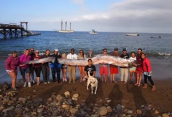 af832ee8-f4ac-42d2-8b83-96bae20e057b