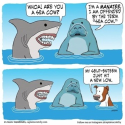 687b1d68-5e91-4a89-bf42-1e59027a6327