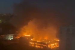 af034a9e-30a4-43c0-9eaf-9fccb37bed77