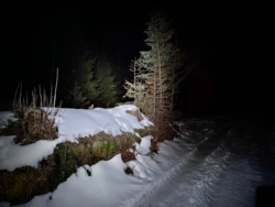 c36772bf-d42b-481a-94ba-4f74198bc553