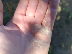 5da9991f-54d3-4c5f-a255-1fca880626c3