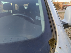 3791a817-282d-4cf1-a142-8952c48e5b9a