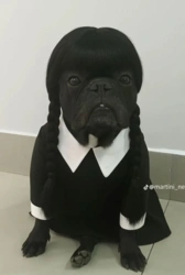 4f4998de-e519-40ca-a006-45629bb3ddca