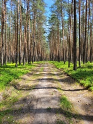 448efc14-182d-4043-b75c-8bf9b4567621