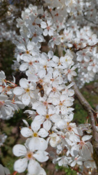 898efc77-488b-4a0d-9f1d-8c2c61979004