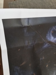 43d6e3a2-d1a6-411a-9dcd-894fe9a88f1e